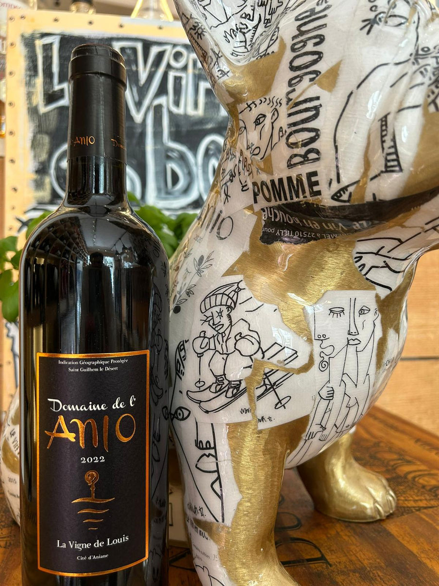 IGP Saint-Guilhem-le-Désert – Les Mattes du Bas