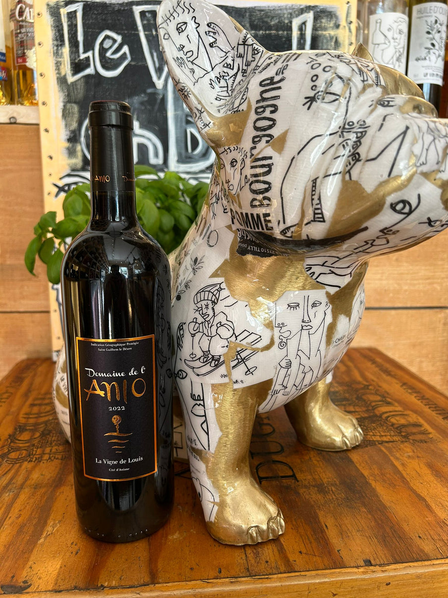 IGP Saint-Guilhem-le-Désert – Les Mattes du Bas