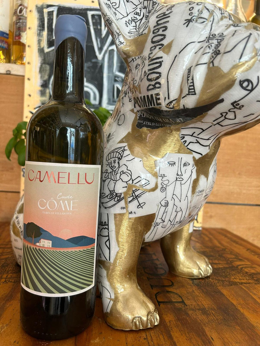 AOP Corse Calvi Blanc – 100 % Vermentino
