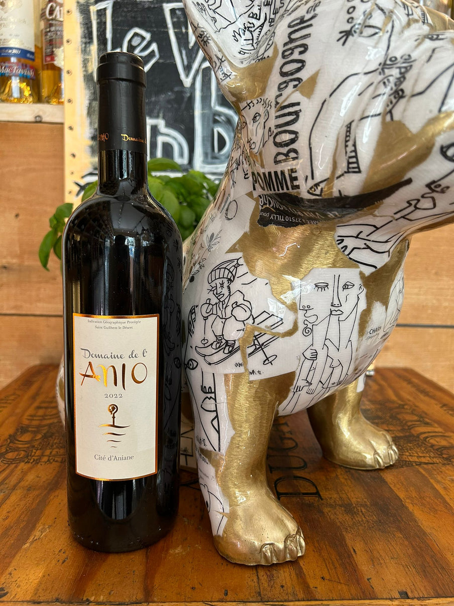 100 % Syrah – Terroir des Mattes, Aniane