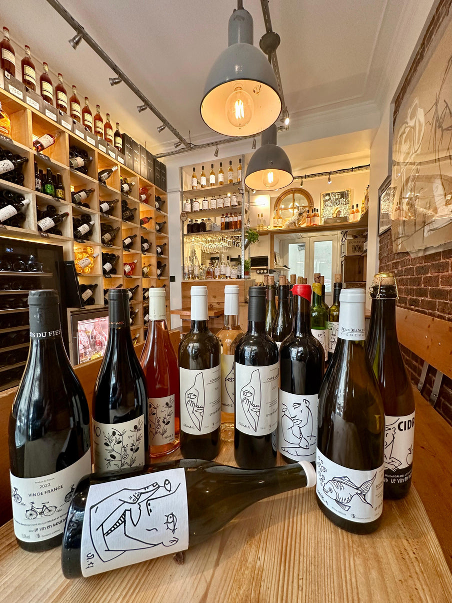 Cours d’Œnologie – Découvrez l’Art du Vin 🍷